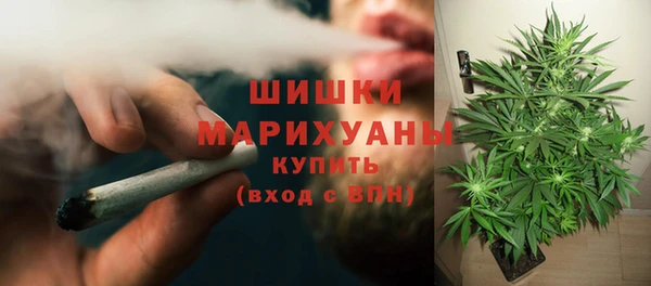шишки Аркадак