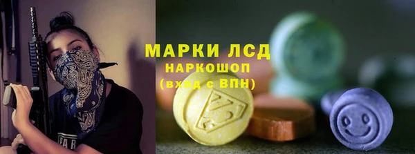 шишки Аркадак