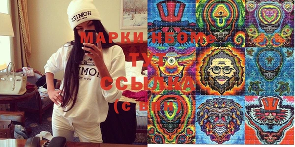 шишки Аркадак