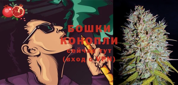 шишки Аркадак