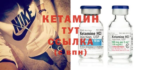 шишки Аркадак