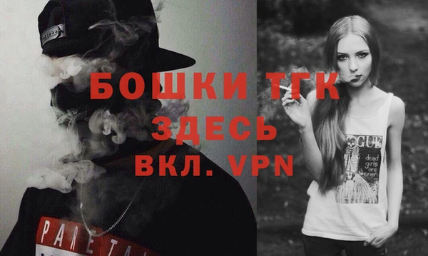 шишки Аркадак