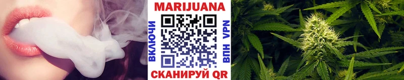 цена   Хасавюрт  Конопля SATIVA & INDICA 